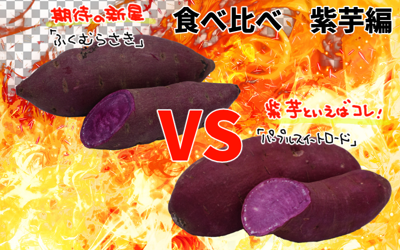 焼き芋食べ比べⅢ「紫芋編」ふくむらさき・パープルスイートロード 