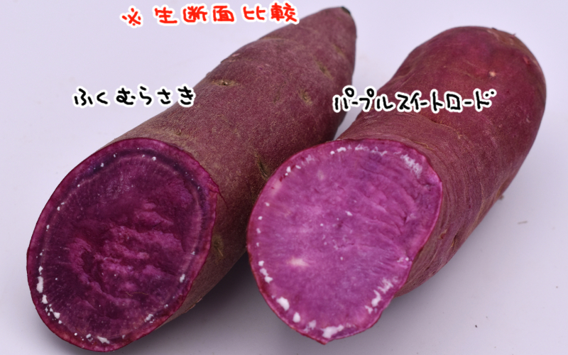 焼き芋食べ比べⅢ「紫芋編」ふくむらさき・パープルスイートロード 
