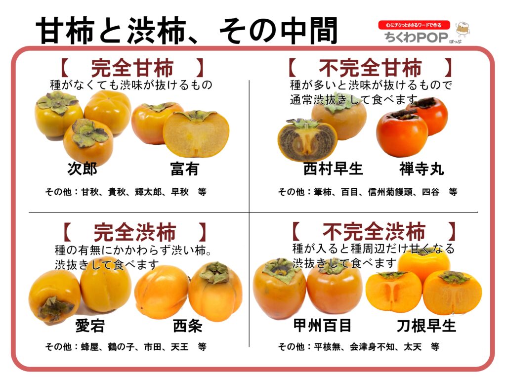 カキ(柿)について – ちくわPOPブログ
