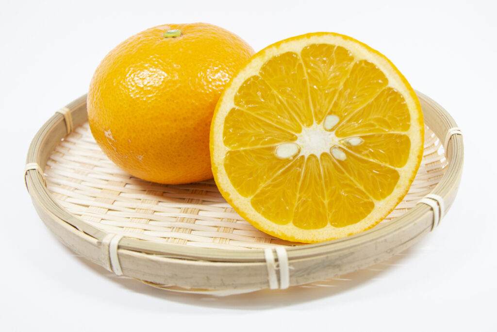 「夏みかん」「甘夏」「紅甘夏」 何が違う？ – ちくわPOPブログ
