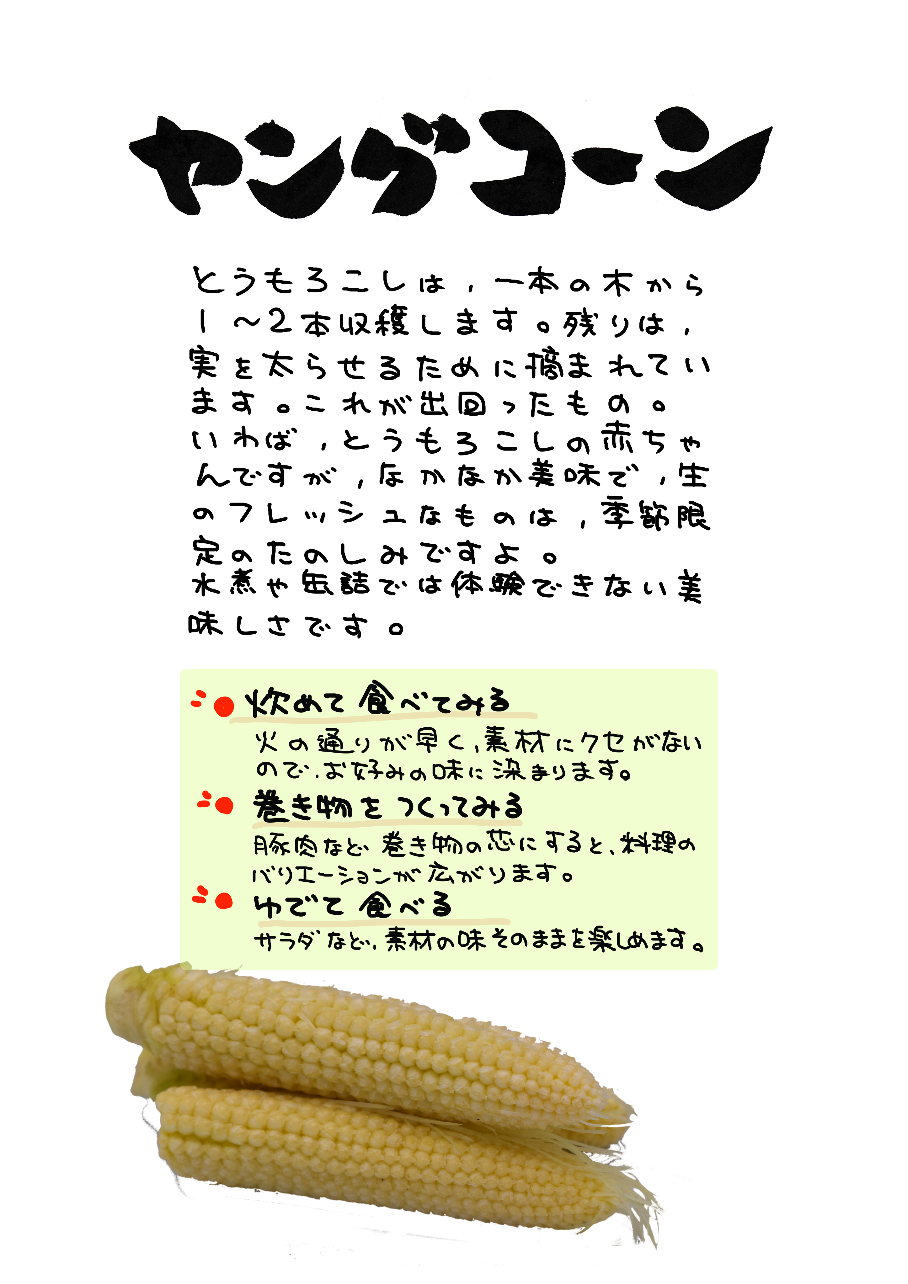 新鮮ヤングコーン とうもろこし おひさまコーン 軽井沢産高原野菜 約100本