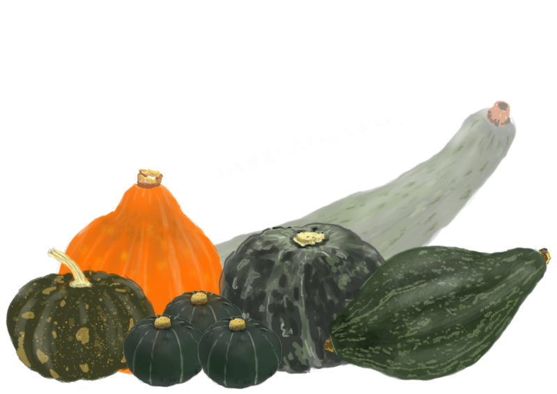 かぼちゃ　集合　色々　001｜心にチクっとささるワードで作る「ちくわPOP（ちくわぽっぷ）」｜農産物直売所やスーパーの青果売り場の活性化に！農に特化したPOPが無料!!