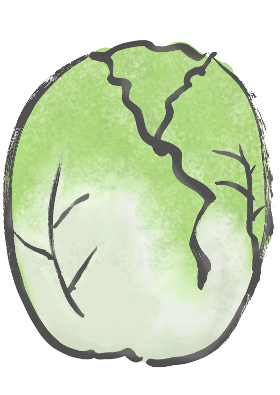 はくさい　白菜｜心にチクっとささるワードで作る「ちくわPOP（ちくわぽっぷ）」｜農産物直売所やスーパーの青果売り場の活性化に！農に特化したPOPが無料!!