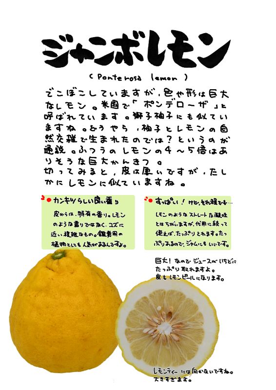 ジャンボレモン　ポンデローザJumbo Lemon　Ponderosa｜心にチクっとささるワードで作る「ちくわPOP（ちくわぽっぷ）」｜農産物直売所やスーパーの青果売り場の活性化に！農に特化したPOPが無料!!