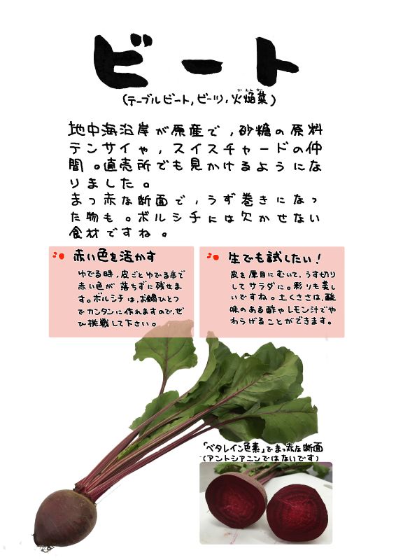 ビートtable beet beetroot  red beet｜心にチクっとささるワードで作る「ちくわPOP（ちくわぽっぷ）」｜農産物直売所やスーパーの青果売り場の活性化に！農に特化したPOPが無料!!