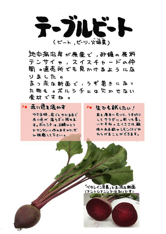 テーブルビートtable beet beetroot  red beet｜心にチクっとささるワードで作る「ちくわPOP（ちくわぽっぷ）」｜農産物直売所やスーパーの青果売り場の活性化に！農に特化したPOPが無料!!