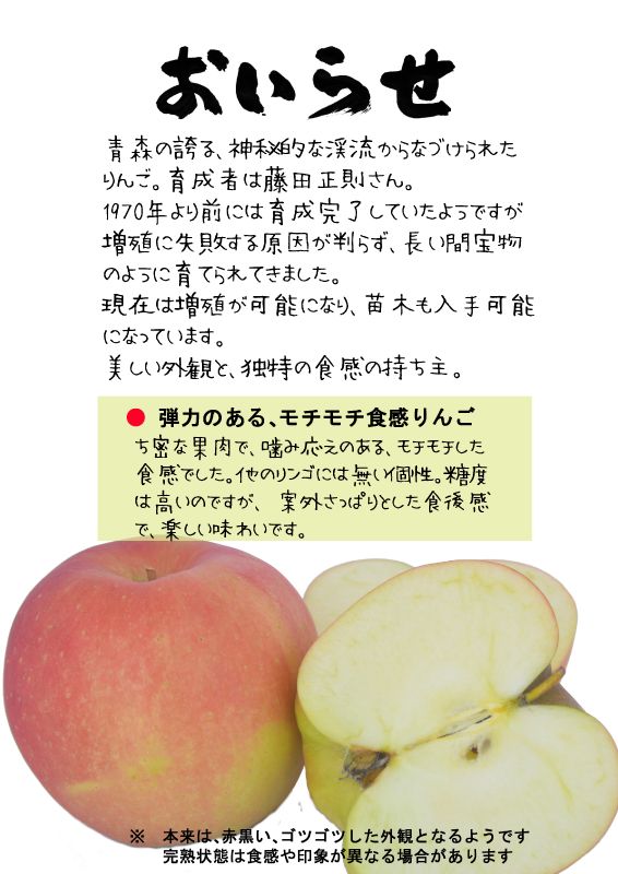 おいらせ　奥入瀬　赤りんご　TX｜心にチクっとささるワードで作る「ちくわPOP（ちくわぽっぷ）」｜農産物直売所やスーパーの青果売り場の活性化に！農に特化したPOPが無料!!