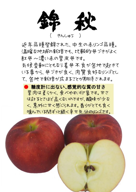 錦秋　きんしゅう　赤リンゴ　TX｜心にチクっとささるワードで作る「ちくわPOP（ちくわぽっぷ）」｜農産物直売所やスーパーの青果売り場の活性化に！農に特化したPOPが無料!!