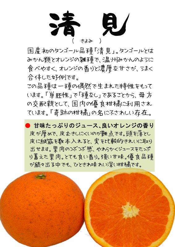 清見　きよみ　202603TX　｜心にチクっとささるワードで作る「ちくわPOP（ちくわぽっぷ）」｜農産物直売所やスーパーの青果売り場の活性化に！農に特化したPOPが無料!!