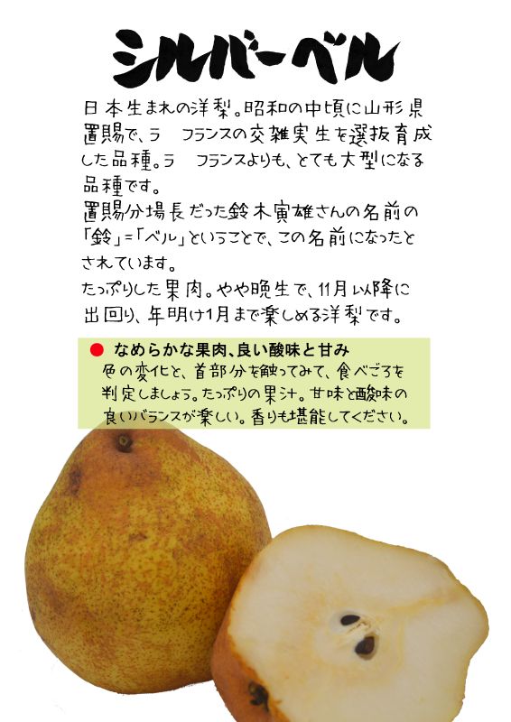 シルバー　ベル　SilverBell 　洋梨　TX｜心にチクっとささるワードで作る「ちくわPOP（ちくわぽっぷ）」｜農産物直売所やスーパーの青果売り場の活性化に！農に特化したPOPが無料!!