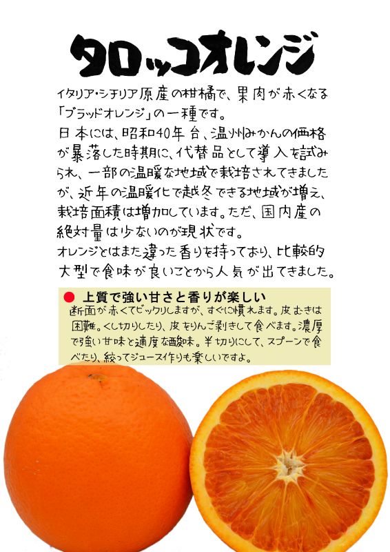 タロッコオレンジ　202603TX｜心にチクっとささるワードで作る「ちくわPOP（ちくわぽっぷ）」｜農産物直売所やスーパーの青果売り場の活性化に！農に特化したPOPが無料!!
