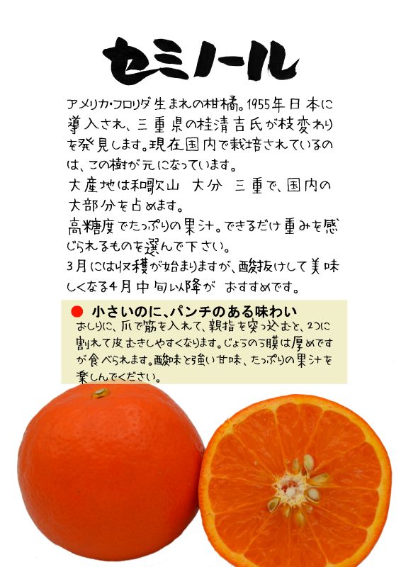 セミノール　202604TX｜心にチクっとささるワードで作る「ちくわPOP（ちくわぽっぷ）」｜農産物直売所やスーパーの青果売り場の活性化に！農に特化したPOPが無料!!