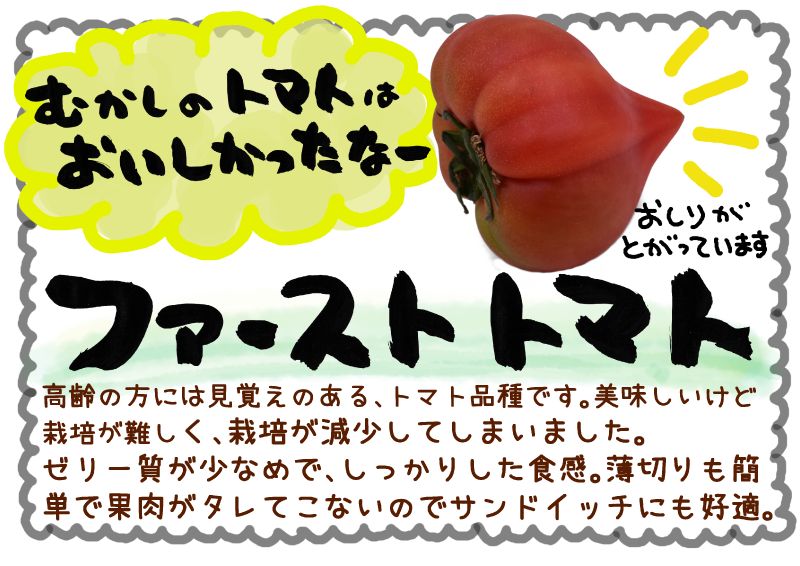 ファーストトマト　横2026｜心にチクっとささるワードで作る「ちくわPOP（ちくわぽっぷ）」｜農産物直売所やスーパーの青果売り場の活性化に！農に特化したPOPが無料!!