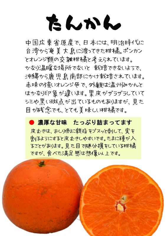 たんかん　タンカン　TX｜心にチクっとささるワードで作る「ちくわPOP（ちくわぽっぷ）」｜農産物直売所やスーパーの青果売り場の活性化に！農に特化したPOPが無料!!