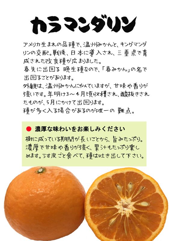 カラマンダリン　202605TX｜心にチクっとささるワードで作る「ちくわPOP（ちくわぽっぷ）」｜農産物直売所やスーパーの青果売り場の活性化に！農に特化したPOPが無料!!