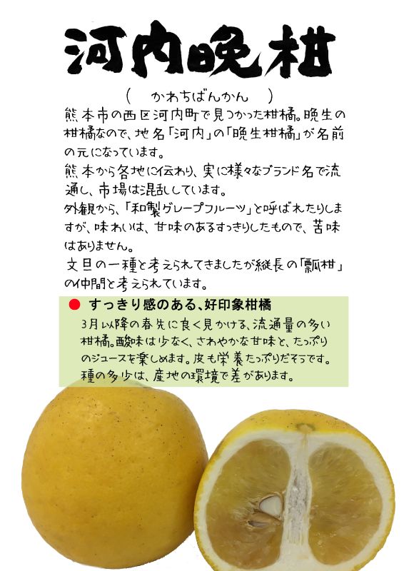 河内晩柑　2026TX｜心にチクっとささるワードで作る「ちくわPOP（ちくわぽっぷ）」｜農産物直売所やスーパーの青果売り場の活性化に！農に特化したPOPが無料!!