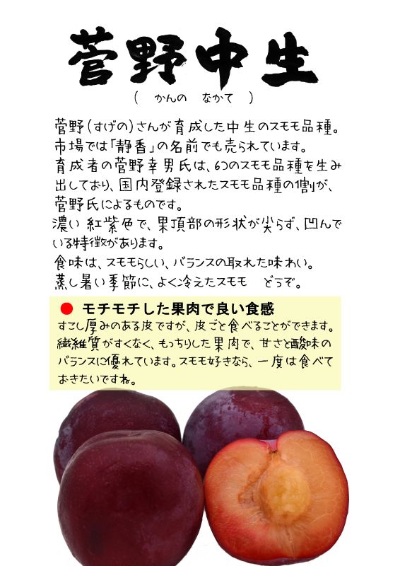 菅野中生かんのなかてスモモTX｜心にチクっとささるワードで作る「ちくわPOP（ちくわぽっぷ）」｜農産物直売所やスーパーの青果売り場の活性化に！農に特化したPOPが無料!!