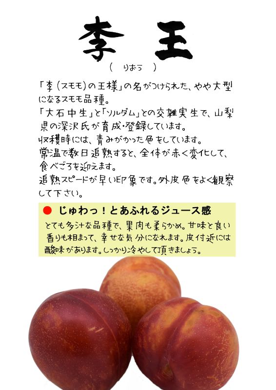李王　りおう　スモモ　TX｜心にチクっとささるワードで作る「ちくわPOP（ちくわぽっぷ）」｜農産物直売所やスーパーの青果売り場の活性化に！農に特化したPOPが無料!!