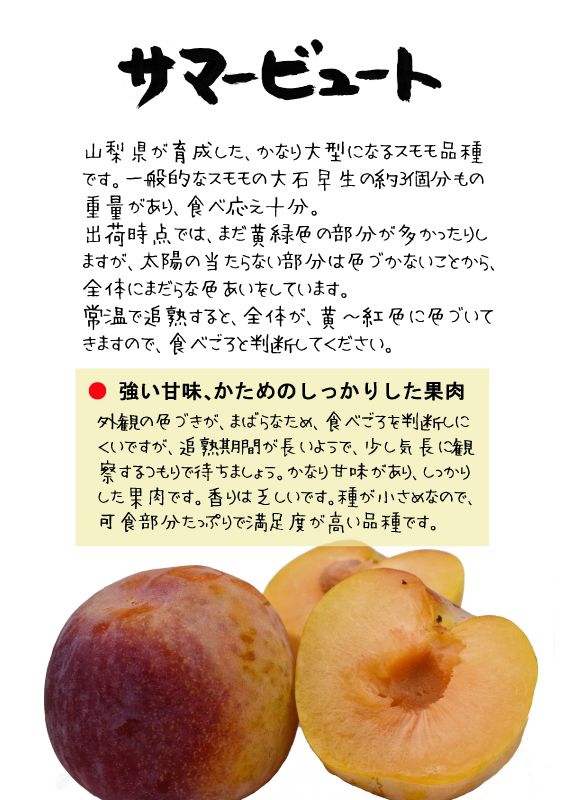 サマービュート　スモモすももプラムTX｜心にチクっとささるワードで作る「ちくわPOP（ちくわぽっぷ）」｜農産物直売所やスーパーの青果売り場の活性化に！農に特化したPOPが無料!!