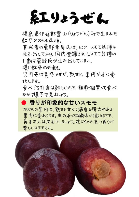 紅りょうぜん　霊山　TX｜心にチクっとささるワードで作る「ちくわPOP（ちくわぽっぷ）」｜農産物直売所やスーパーの青果売り場の活性化に！農に特化したPOPが無料!!