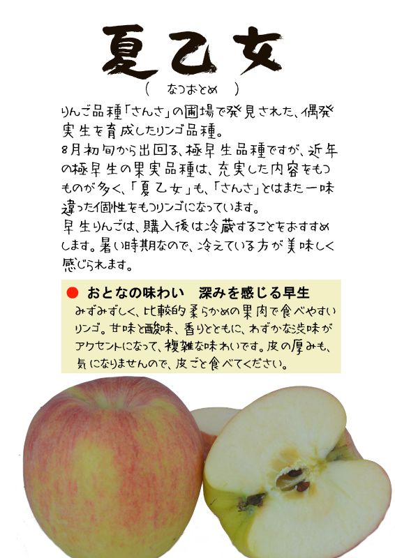 夏乙女　りんご　なつおとめ　TX｜心にチクっとささるワードで作る「ちくわPOP（ちくわぽっぷ）」｜農産物直売所やスーパーの青果売り場の活性化に！農に特化したPOPが無料!!