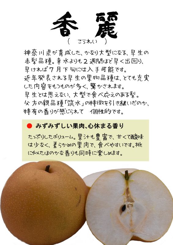 香麗　こうれい　赤梨　TX｜心にチクっとささるワードで作る「ちくわPOP（ちくわぽっぷ）」｜農産物直売所やスーパーの青果売り場の活性化に！農に特化したPOPが無料!!