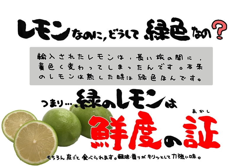 国産レモン　緑色のレモン｜心にチクっとささるワードで作る「ちくわPOP（ちくわぽっぷ）」｜農産物直売所やスーパーの青果売り場の活性化に！農に特化したPOPが無料!!