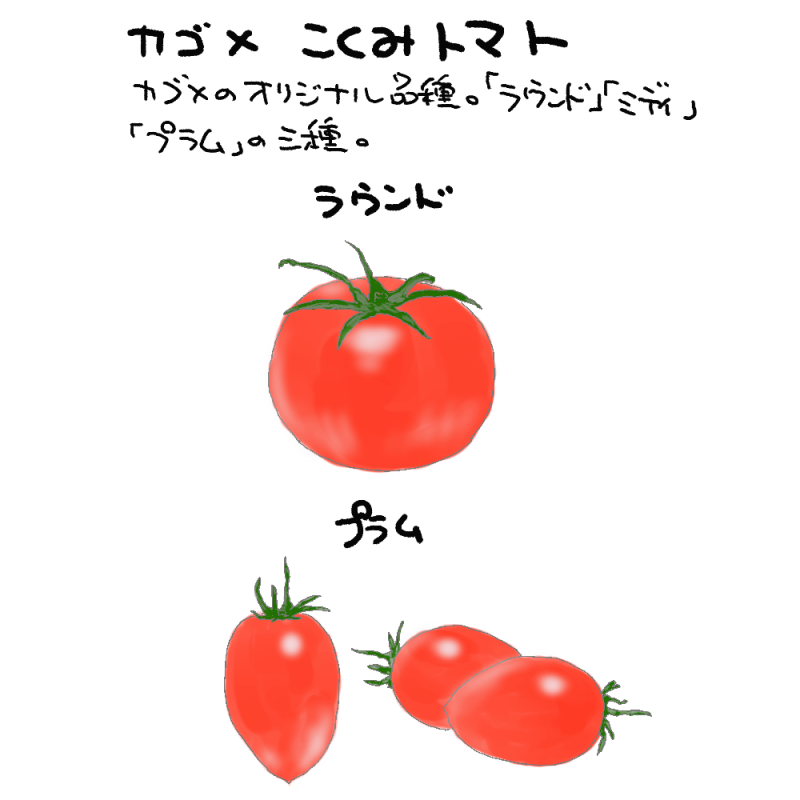 カゴメ　こくみトマト　ラウンド　プラムkokumi tomato｜心にチクっとささるワードで作る「ちくわPOP（ちくわぽっぷ）」｜農産物直売所やスーパーの青果売り場の活性化に！農に特化したPOPが無料!!