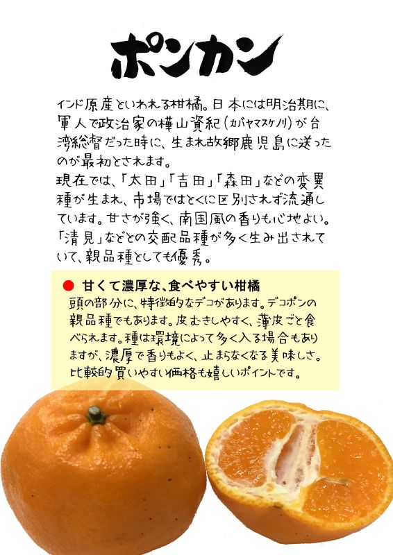 ぽんかん　ポンカン TX｜心にチクっとささるワードで作る「ちくわPOP（ちくわぽっぷ）」｜農産物直売所やスーパーの青果売り場の活性化に！農に特化したPOPが無料!!