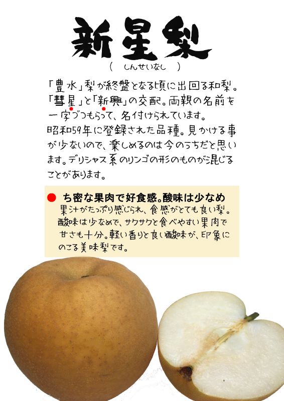 新星　　しんせい　和梨　TX｜心にチクっとささるワードで作る「ちくわPOP（ちくわぽっぷ）」｜農産物直売所やスーパーの青果売り場の活性化に！農に特化したPOPが無料!!