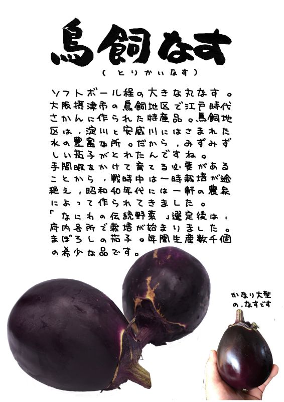 鳥飼なす　torikai eggplant｜心にチクっとささるワードで作る「ちくわPOP（ちくわぽっぷ）」｜農産物直売所やスーパーの青果売り場の活性化に！農に特化したPOPが無料!!