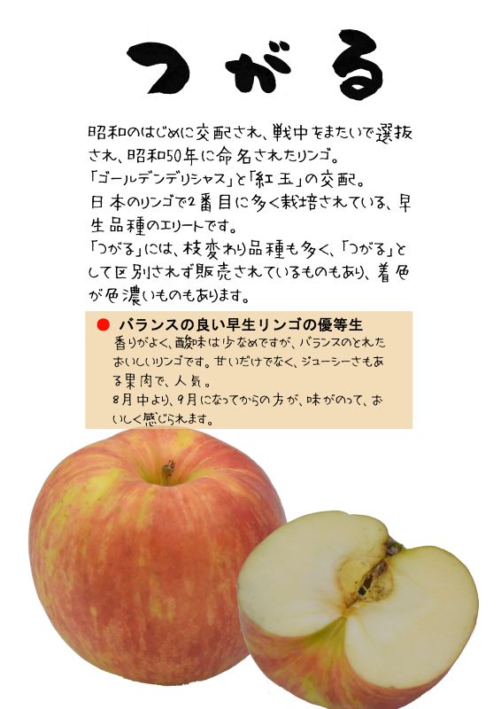つがる　サンつがる　tsugaru apple 202304TX｜心にチクっとささるワードで作る「ちくわPOP（ちくわぽっぷ）」｜農産物直売所やスーパーの青果売り場の活性化に！農に特化したPOPが無料!!