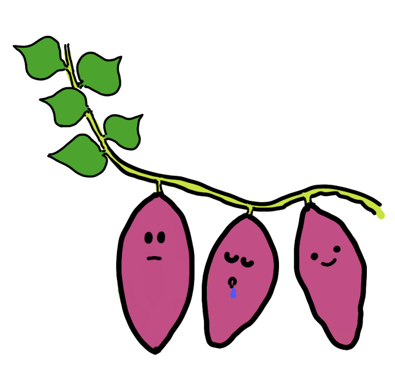 さつまいも薩摩芋サツマイモ甘藷イラスト　｜心にチクっとささるワードで作る「ちくわPOP（ちくわぽっぷ）」｜農産物直売所やスーパーの青果売り場の活性化に！農に特化したPOPが無料!!